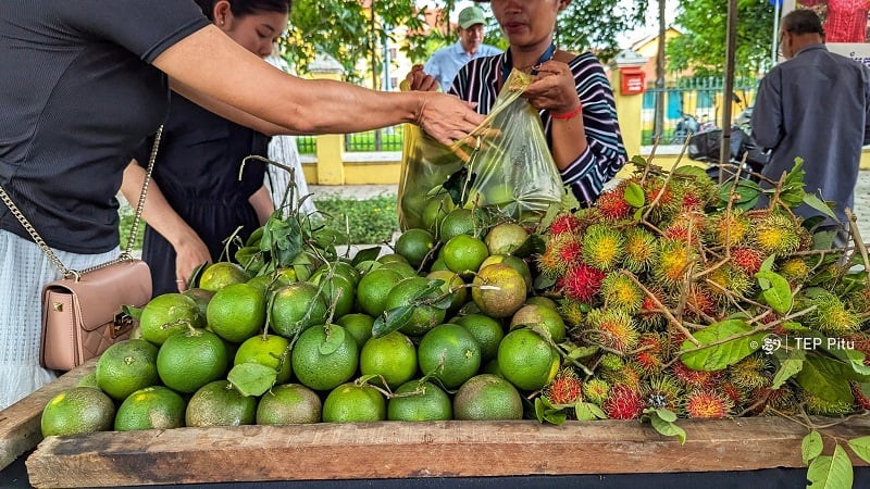 Cambodia Customs Clarifies Expanded Import Bans on Thai Produce, Fuels, and Other Goods Amidst Border Developments